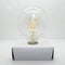 Philips G25 25W Dimmable Soft White Light Bulb 549352 9290022047