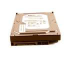WD WD3200AVJS-63N9A0 320GB 7200RPM SATA Desktop Hard Drive HP 484054-003