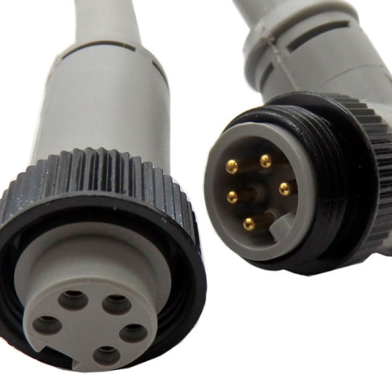 Balluff 1M 5-Pin 7/8" 300VAC 8.0A UN-2B Connector Cable BDN C-T01-AD-EAA-01-010M