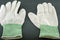 12 Pack of Stauffer Small Nylon Work Gloves K13NWUC-S
